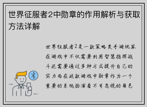 世界征服者2中勋章的作用解析与获取方法详解